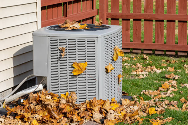 Best HVAC air duct cleaning  in Calumet City, IL